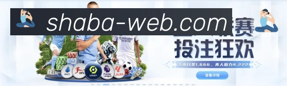 未来规划